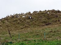 foto 023